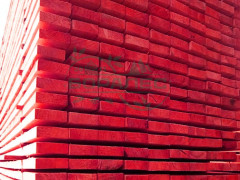 доска обрезная антисептированная 50x100x6м